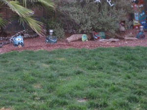 My lawn with remaining Bermuda patches/Ryn Gargulinski